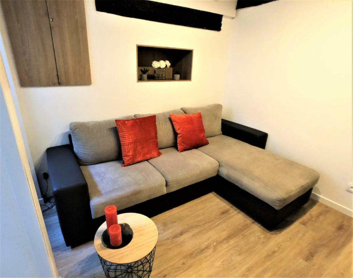 Bel Avec Cour Privative Apartment *